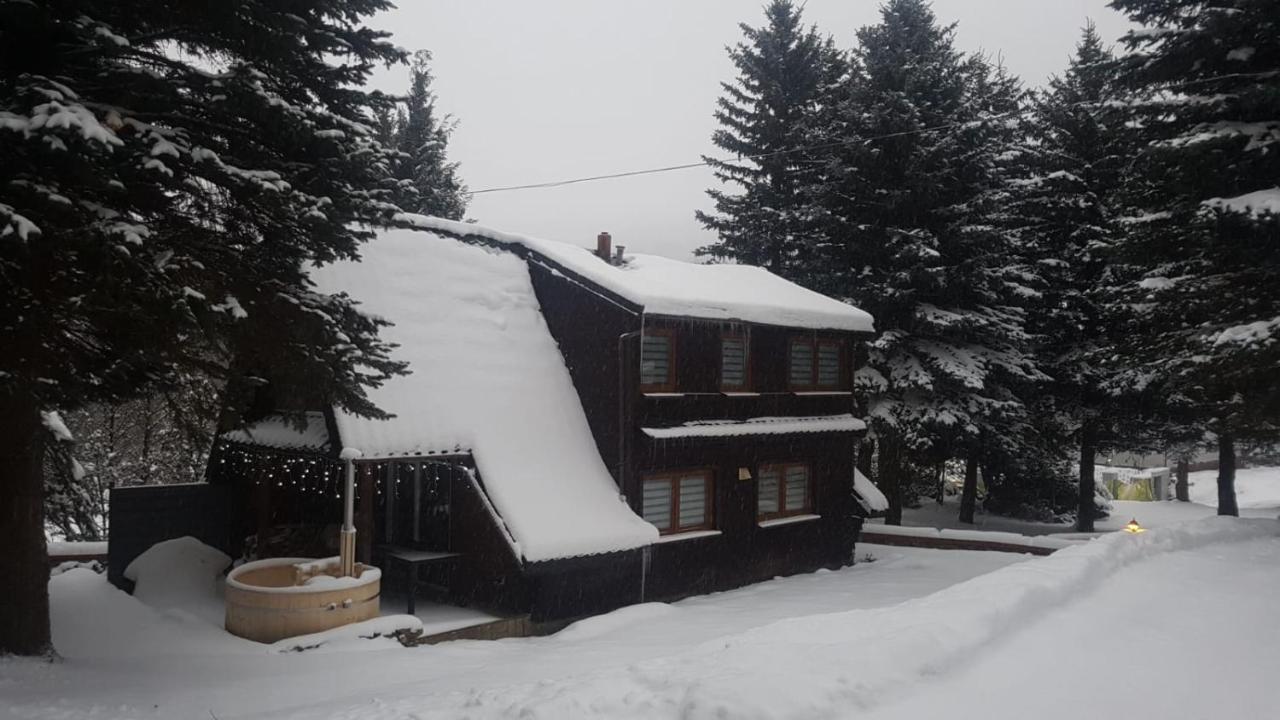 Villa Oliwne Wzgorza Stronie Śląskie Esterno foto