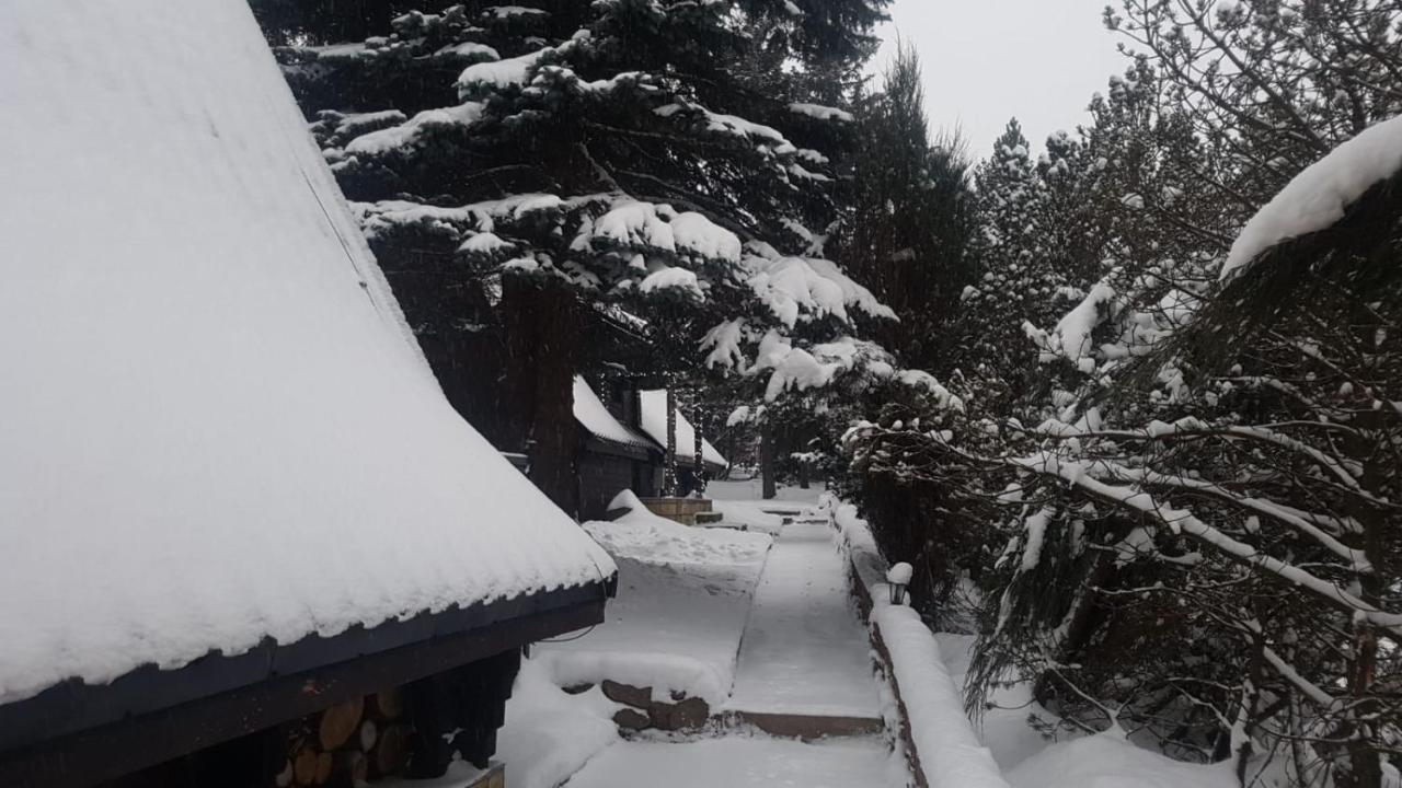 Villa Oliwne Wzgorza Stronie Śląskie Esterno foto