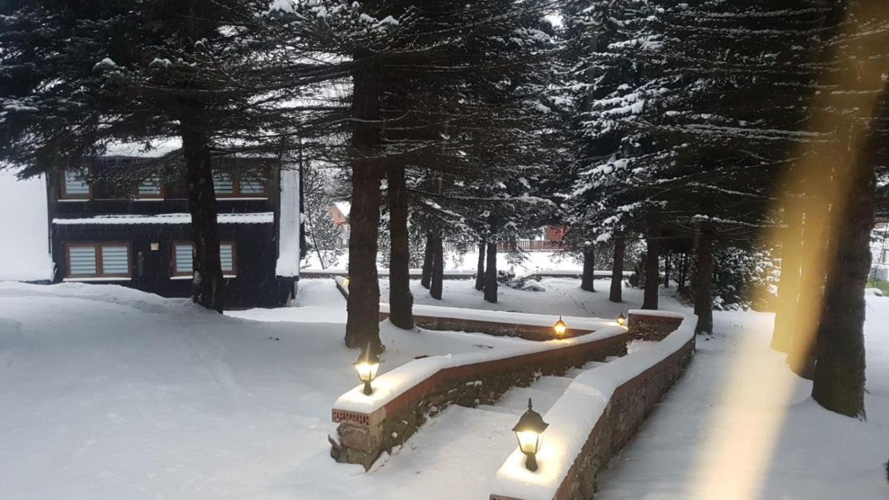 Villa Oliwne Wzgorza Stronie Śląskie Esterno foto