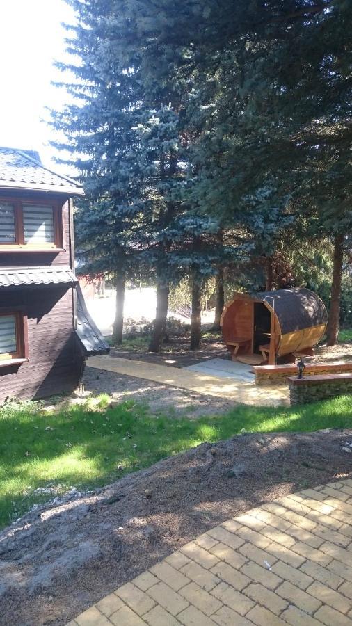 Villa Oliwne Wzgorza Stronie Śląskie Esterno foto