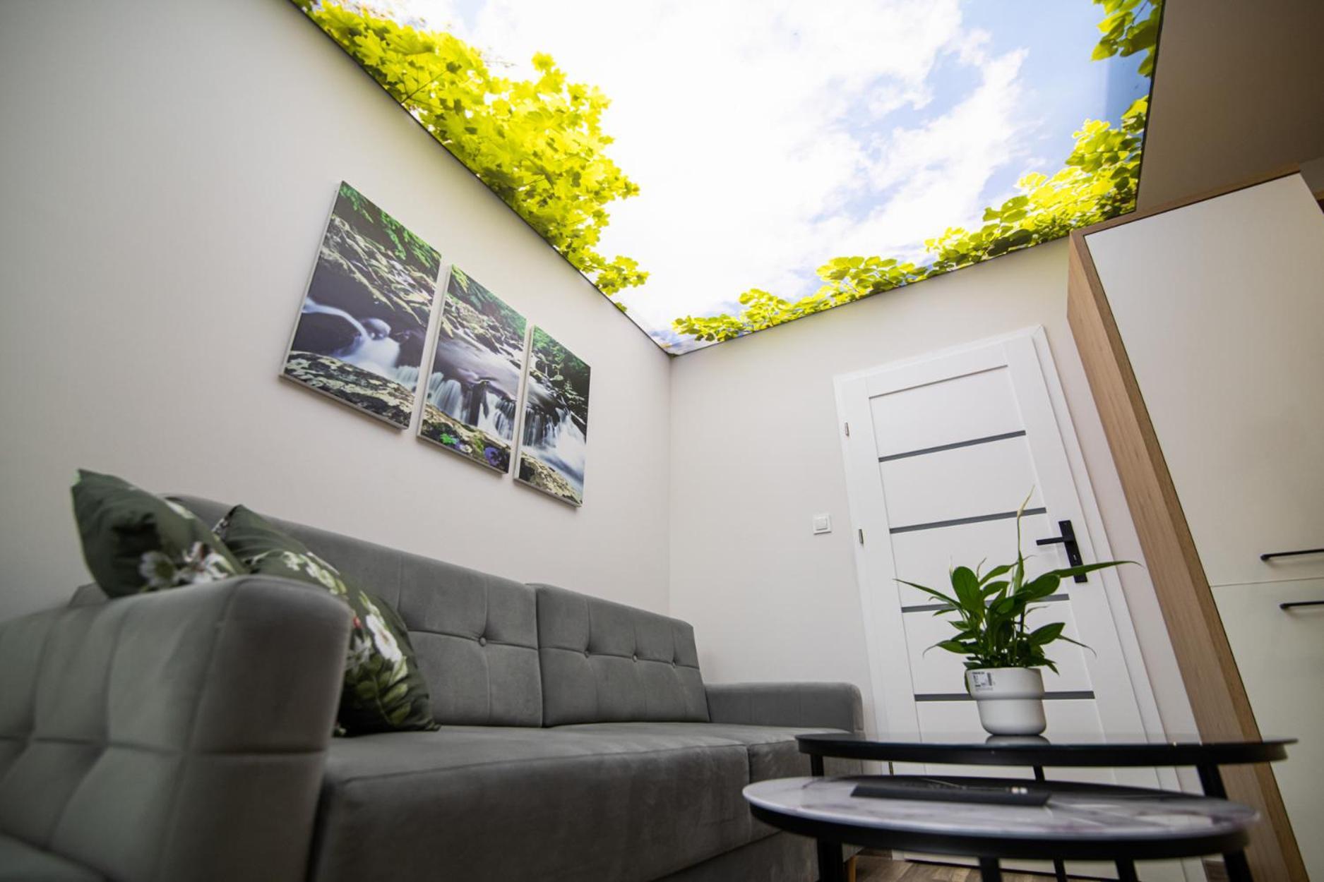 Villa Oliwne Wzgorza Stronie Śląskie Esterno foto